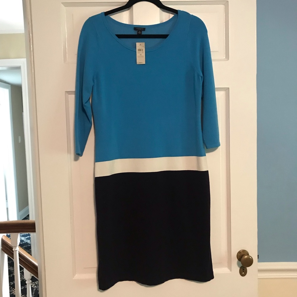 Ann Taylor NWT Dress
